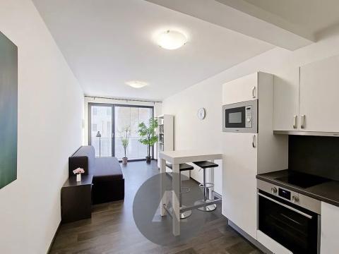 Pronájem bytu 1+kk, Brno, Šámalova, 28 m2