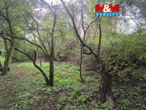 Prodej zahrady, Obrnice, Mírová, 766 m2