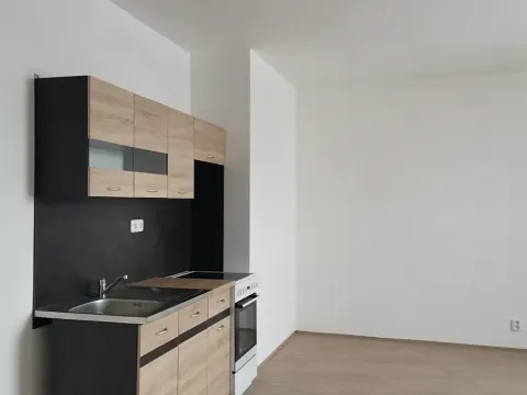 Pronájem bytu 1+kk, Chotěšov, 36 m2