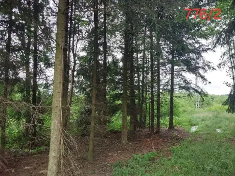 Prodej lesa, Popelín, 2730 m2