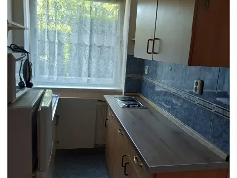 Pronájem bytu 1+1, Holubice, U Parku, 40 m2