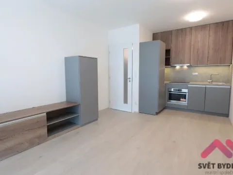 Pronájem bytu 2+kk, Praha - Holešovice, V háji, 55 m2