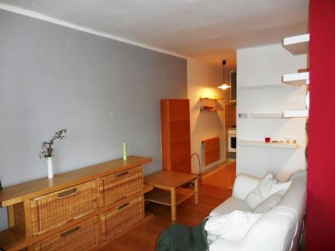 Pronájem bytu 1+kk, Teplice, Petra Jilemnického, 30 m2