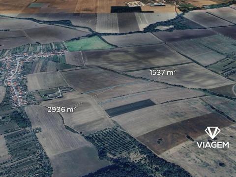 Prodej pole, Kněždub, 4473 m2