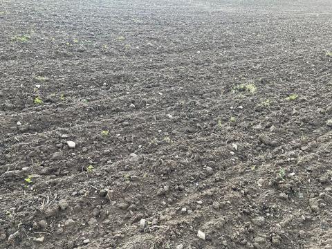 Prodej pole, Radostín nad Oslavou, 20836 m2