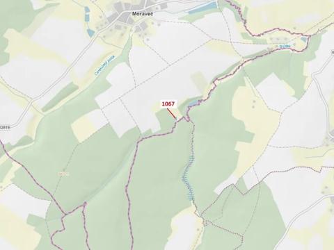 Dražba lesa, Moraveč, 543 m2