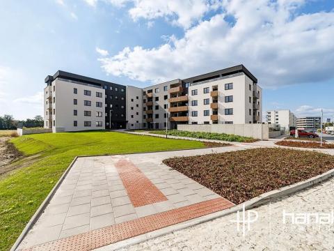 Pronájem bytu 2+kk, Olomouc, Loudova, 57 m2