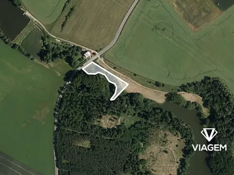 Prodej podílu lesa, Dalešice, 1263 m2