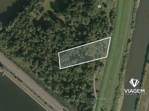 Prodej podílu lesa, Dětmarovice, 1487 m2