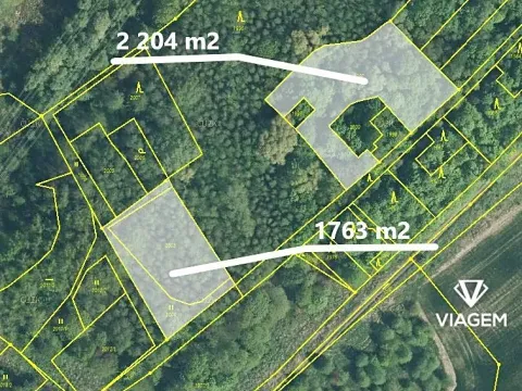 Prodej podílu lesa, Doubrava, 2975 m2