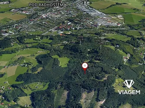 Prodej podílu lesa, Trojanovice, 11168 m2