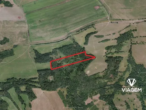 Prodej podílu lesa, Velká Bukovina, 2383 m2