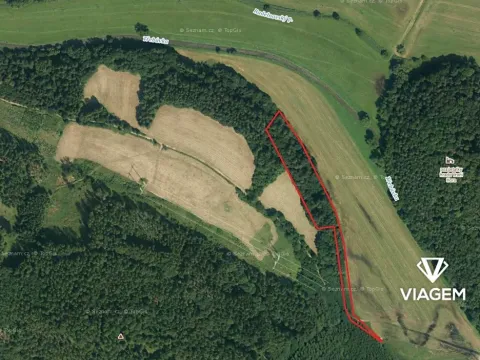 Prodej podílu lesa, Vranová Lhota, 4729 m2