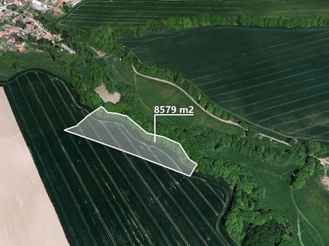 Prodej podílu pole, Petroupim, 218 m2