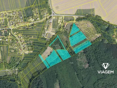 Prodej podílu pole, Bělov, 2501 m2