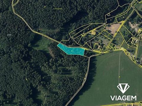 Prodej podílu lesa, Bouzov, 689 m2