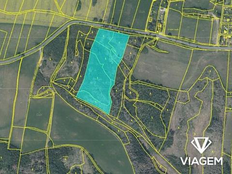 Prodej lesa, Velké Meziříčí, 18631 m2