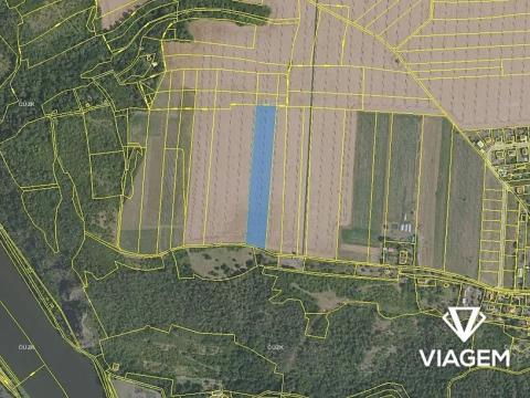 Prodej podílu pole, Máslovice, 2361 m2