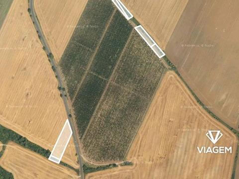 Prodej podílu pole, Chotiněves, 962 m2