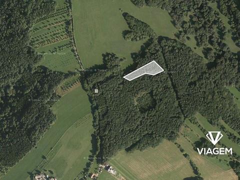 Prodej podílu lesa, Luhačovice, 2090 m2