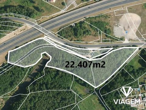 Prodej lesa, Nové Sedlo, 22350 m2