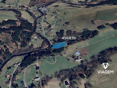 Prodej lesa, Klášterec nad Orlicí, 4564 m2