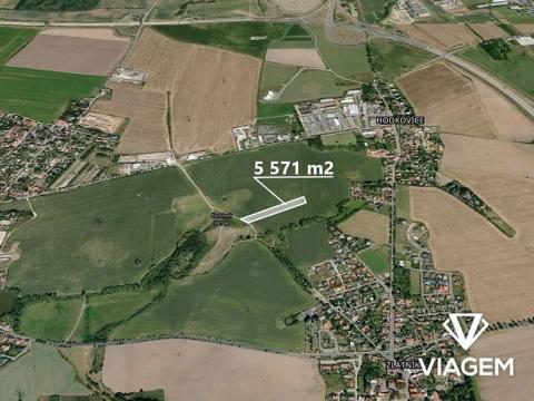 Prodej pole, Zlatníky-Hodkovice, 5571 m2