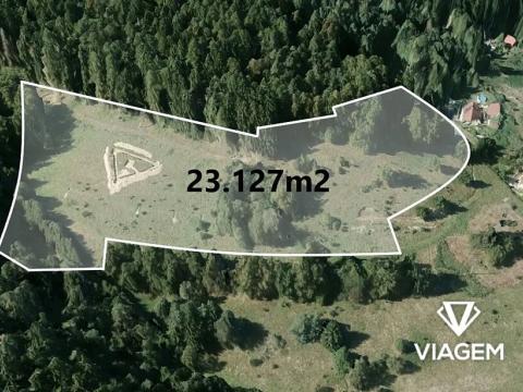 Prodej zahrady, Oloví, 23127 m2