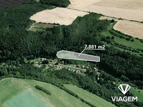 Prodej pole, Lašovice, 7881 m2