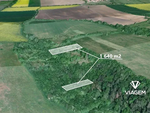 Prodej podílu lesa, Kněždub, 546 m2