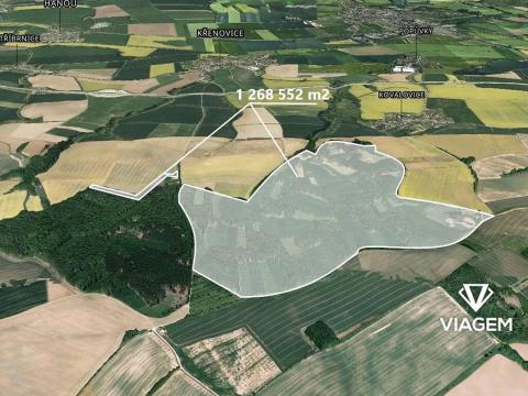 Prodej podílu lesa, Křenovice, 16746 m2