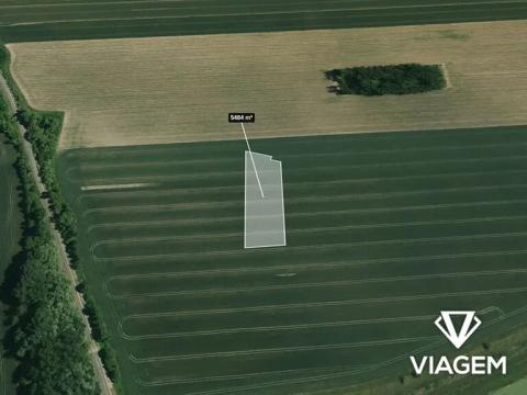 Prodej podílu pole, Vnorovy, 3656 m2