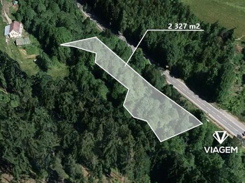 Prodej lesa, Loužnice, 2327 m2