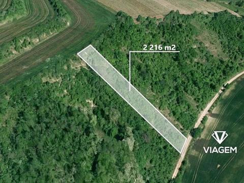 Prodej podílu louky, Kobylí, 1108 m2