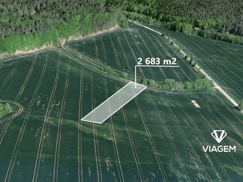 Prodej pole, Vlkančice, 2683 m2