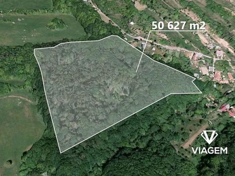 Prodej podílu lesa, Košíky, 8165 m2