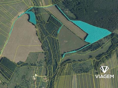 Prodej podílu lesa, Luhačovice, 4849 m2