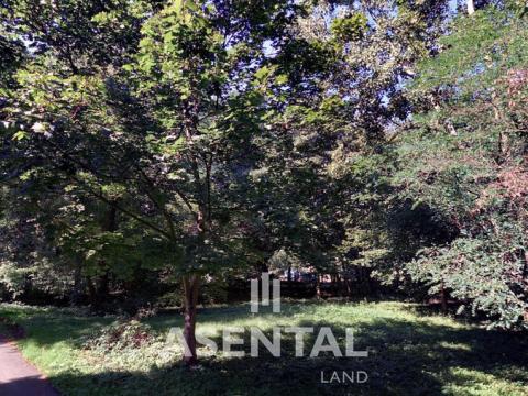 Prodej pozemku, Ostrava - Radvanice, Šmídova, 3243 m2