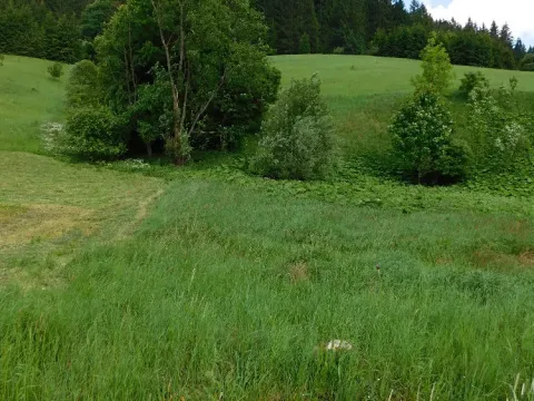 Dražba louky, Velké Karlovice, 14772 m2