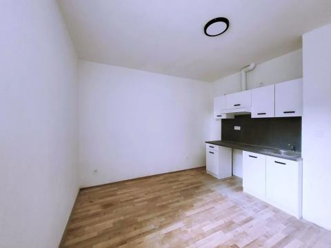 Pronájem bytu 1+kk, Praha - Břevnov, Na břevnovské pláni, 17 m2