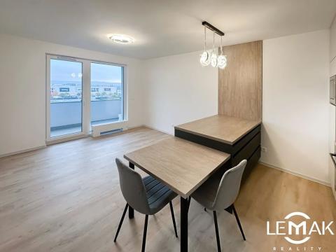 Pronájem bytu 1+kk, Olomouc, Aloise Rašína, 30 m2