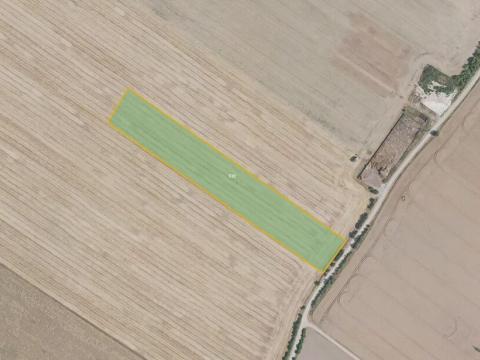 Prodej pole, Čachovice, 55278 m2