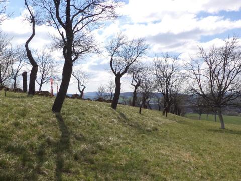 Prodej pozemku, Hluk, 984 m2