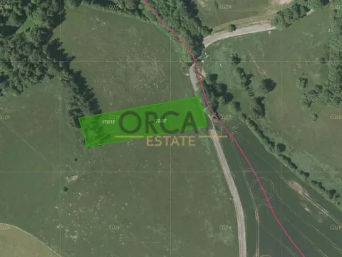 Prodej louky, Kolinec, 4890 m2