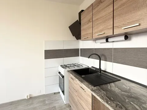 Pronájem bytu 1+1, Chomutov, 17. listopadu, 35 m2