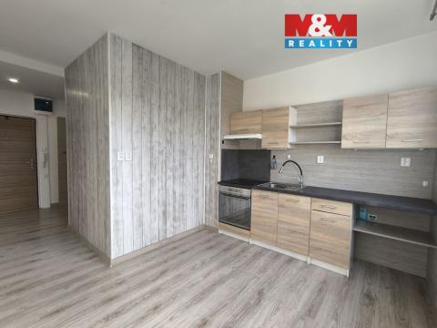 Pronájem bytu 1+1, Ústí nad Labem - Severní Terasa, Oblá, 41 m2