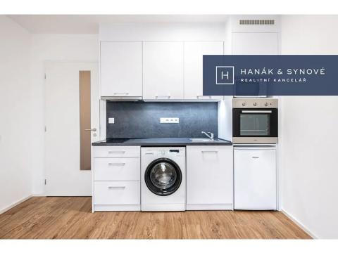 Pronájem bytu 1+kk, Brno, Chaloupkova, 30 m2