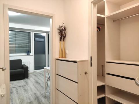 Pronájem bytu 1+kk, Brno, Rumiště, 35 m2