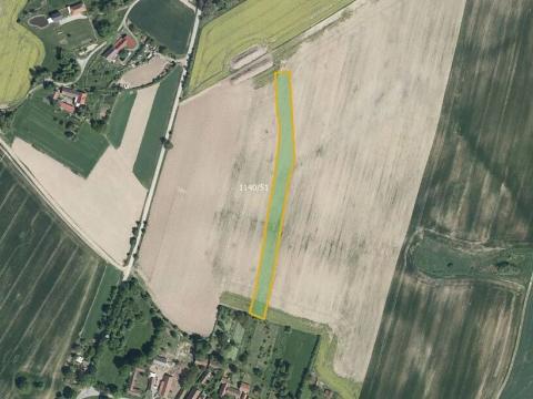 Prodej pole, Vyklantice, 9138 m2