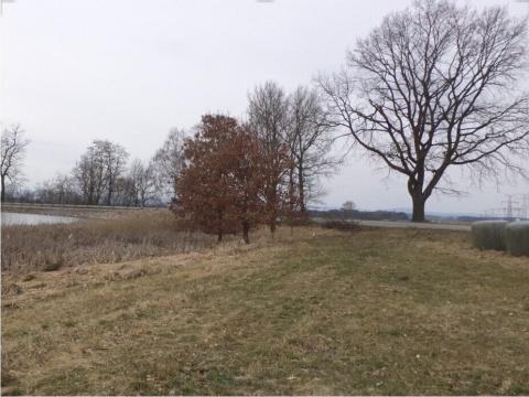 Prodej pole, Dříteň, 1815 m2